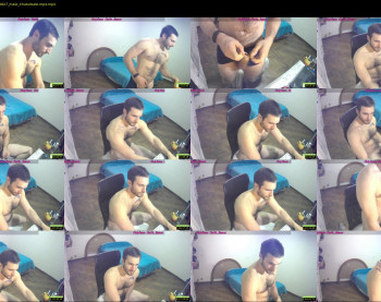 osito_blanco