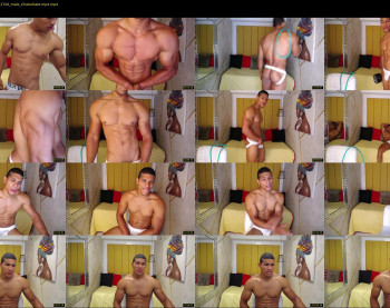 teddyfit19cm