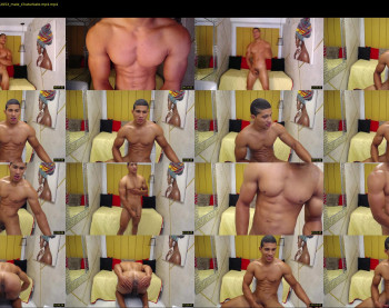 teddyfit19cm