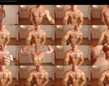 the_phoenixxx