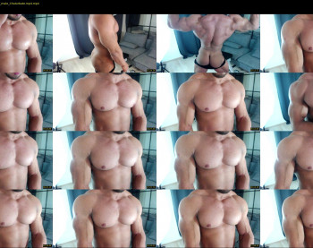 flex_x_x