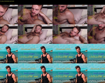 hot_bear_