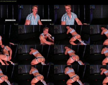 steevemuscle