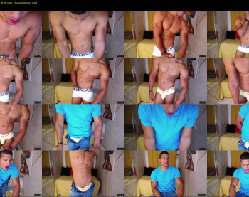 teddyfit19cm