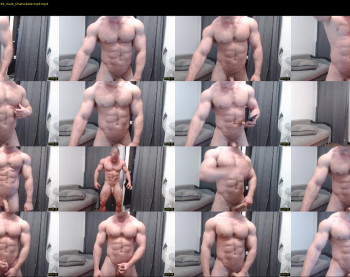 andry_dick