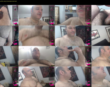 bullmusclejoe