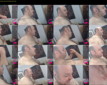 bullmusclejoe