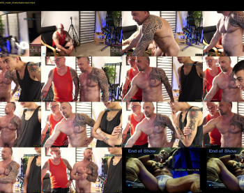 muscle_dog