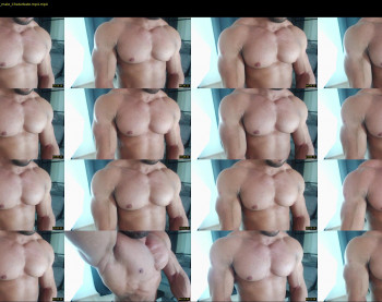 flex_x_x