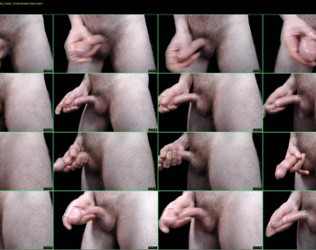 gozarmax