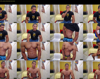 teddyfit19cm
