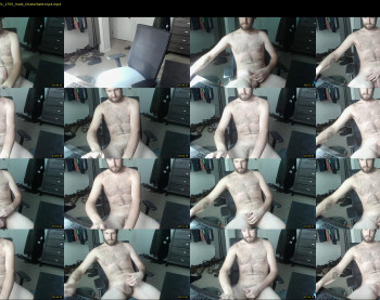 theavgwhiteguy