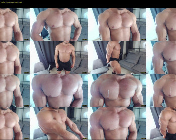 flex_x_x