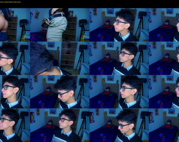 ash_v