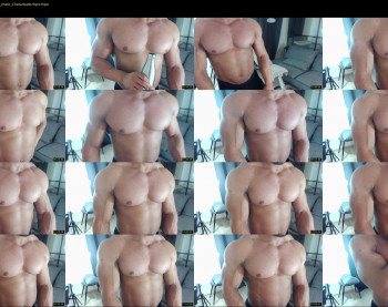 flex_x_x