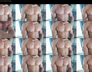 flex_x_x