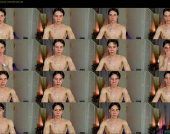 andy_cat_