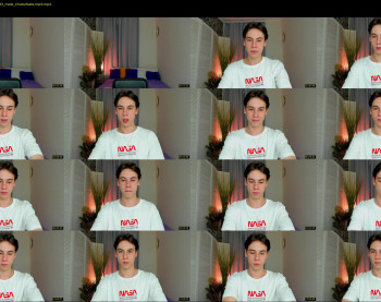 andy_cat_
