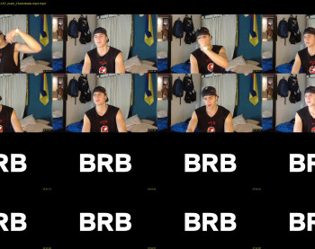 bruce_sealm