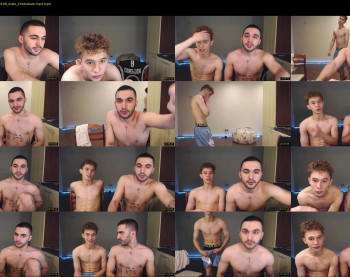 teddy_mode