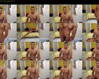 teddyfit19cm