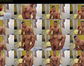 teddyfit19cm