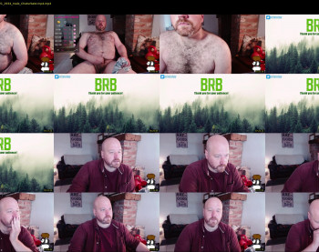 bear_necessity_
