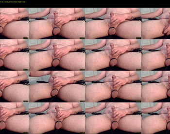donaldbump
