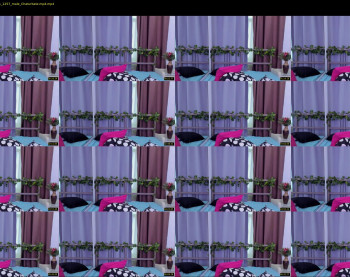 minato_kabuki