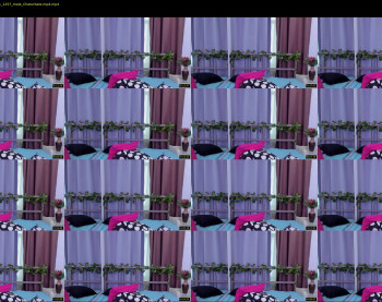 minato_kabuki