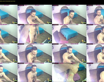 osito_blanco