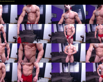bestmuscle