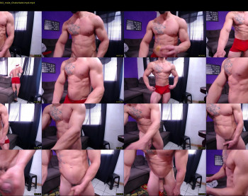 bestmuscle