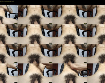 mr_freed