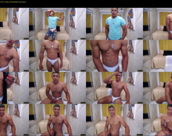 teddyfit19cm