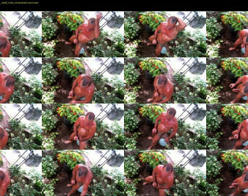 anoaklawnguy