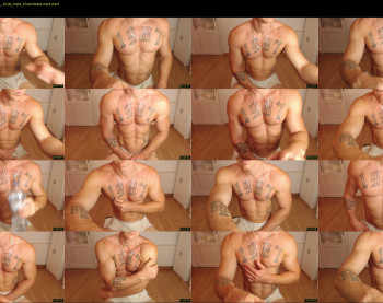 the_phoenixxx
