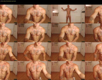 the_phoenixxx