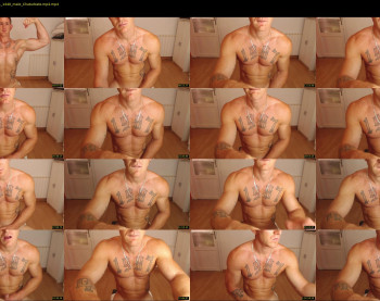 the_phoenixxx