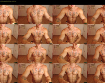 the_phoenixxx