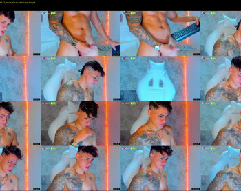 austin_grey2