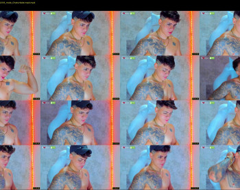 austin_grey2