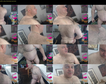 bullmusclejoe