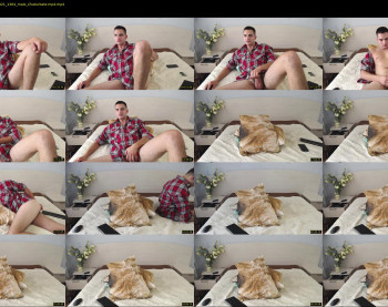 stivenhot_horney