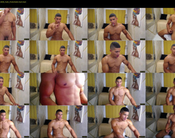 teddyfit19cm