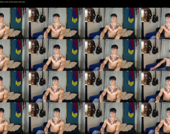 bruce_sealm
