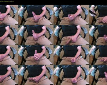 maxxellis