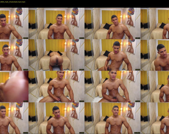 teddyfit19cm
