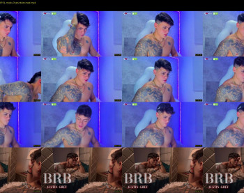 austin_grey2