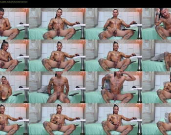 falcon_prince20